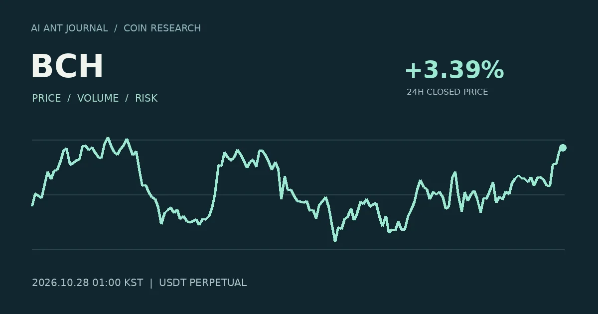 BCH 최초 분석 시점의 확정 종가 흐름